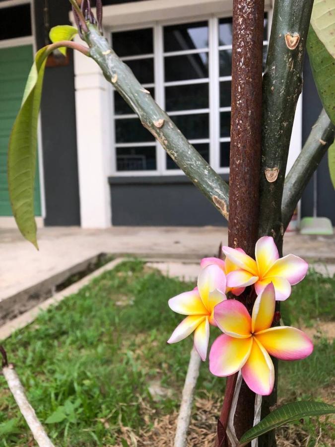 Lungo Guesthouse Kuala Terengganu Bagian luar foto
